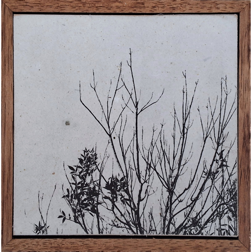 Seed Time and Harvest Shall Not Cease 75
