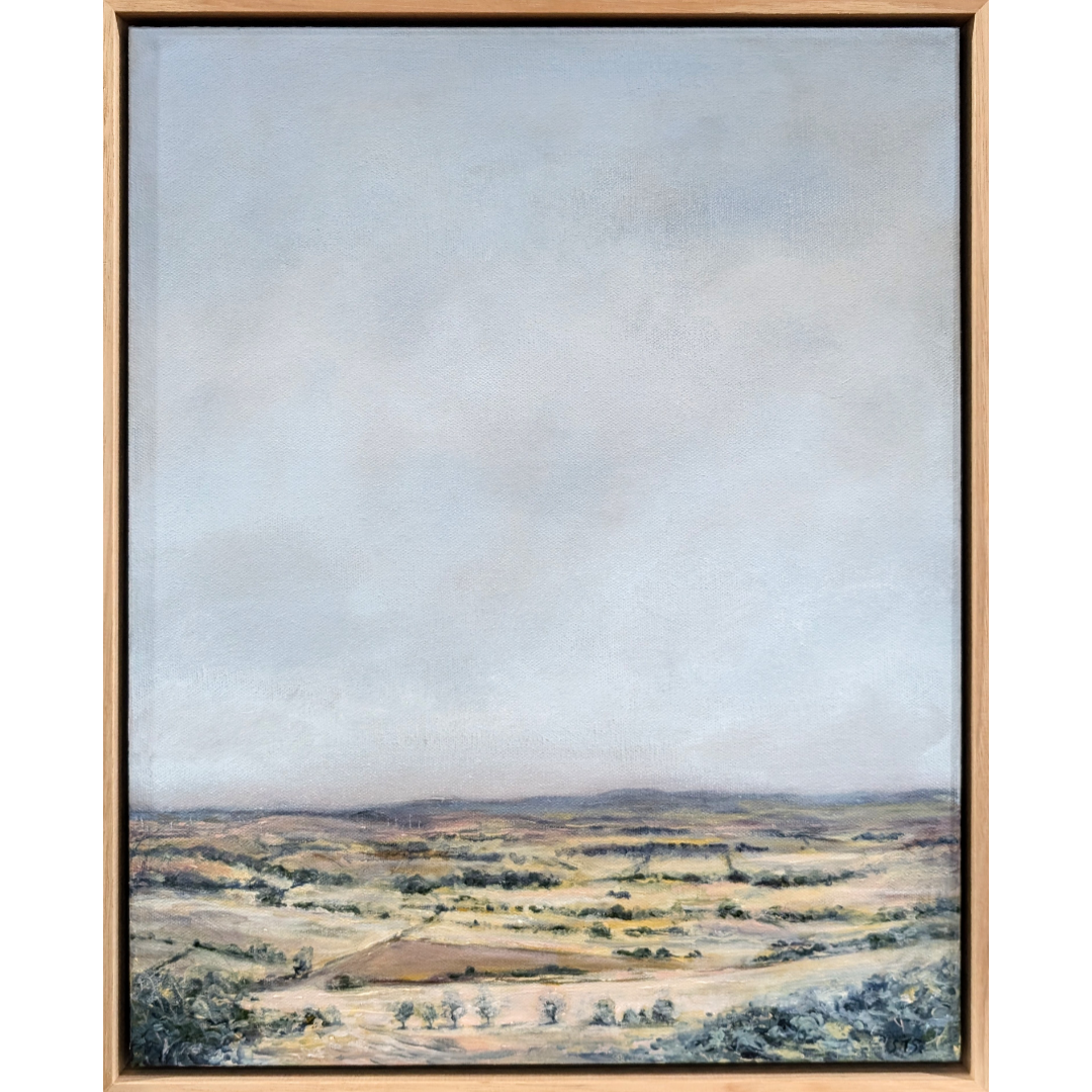 View from the Mount- South West