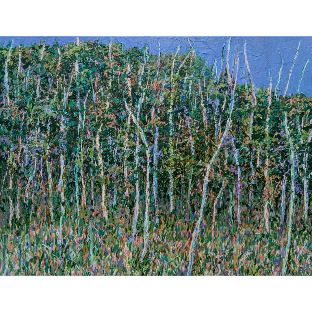 Sanctuary (Blue Mountains)