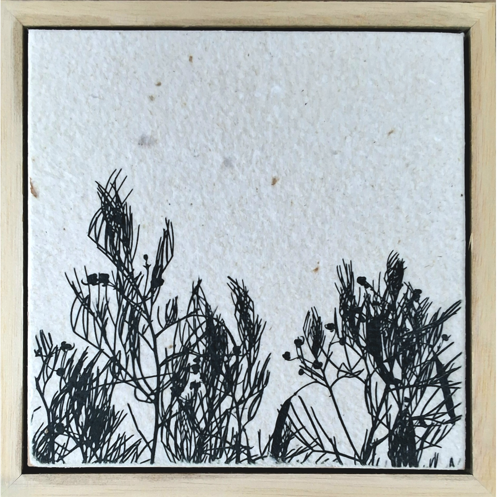 Seed Time and Harvest Shall Not Cease 51