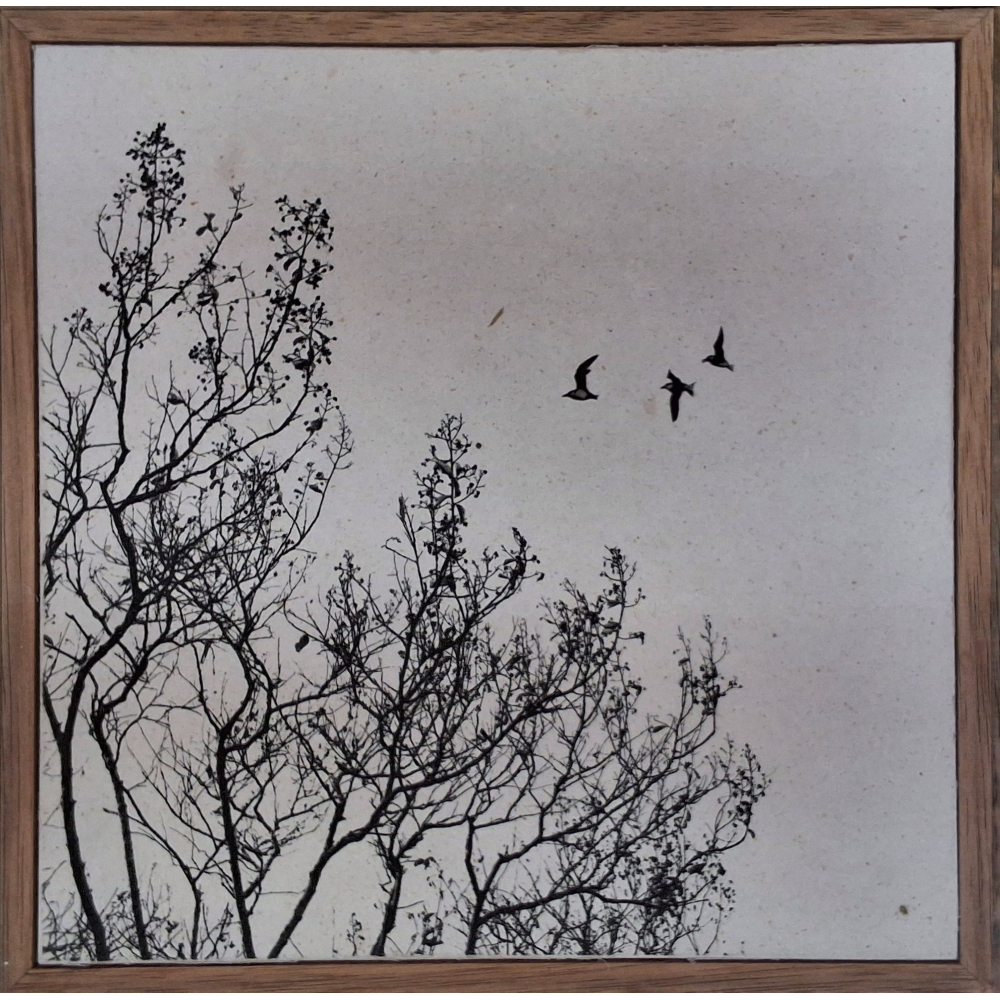 Birds Fly Away