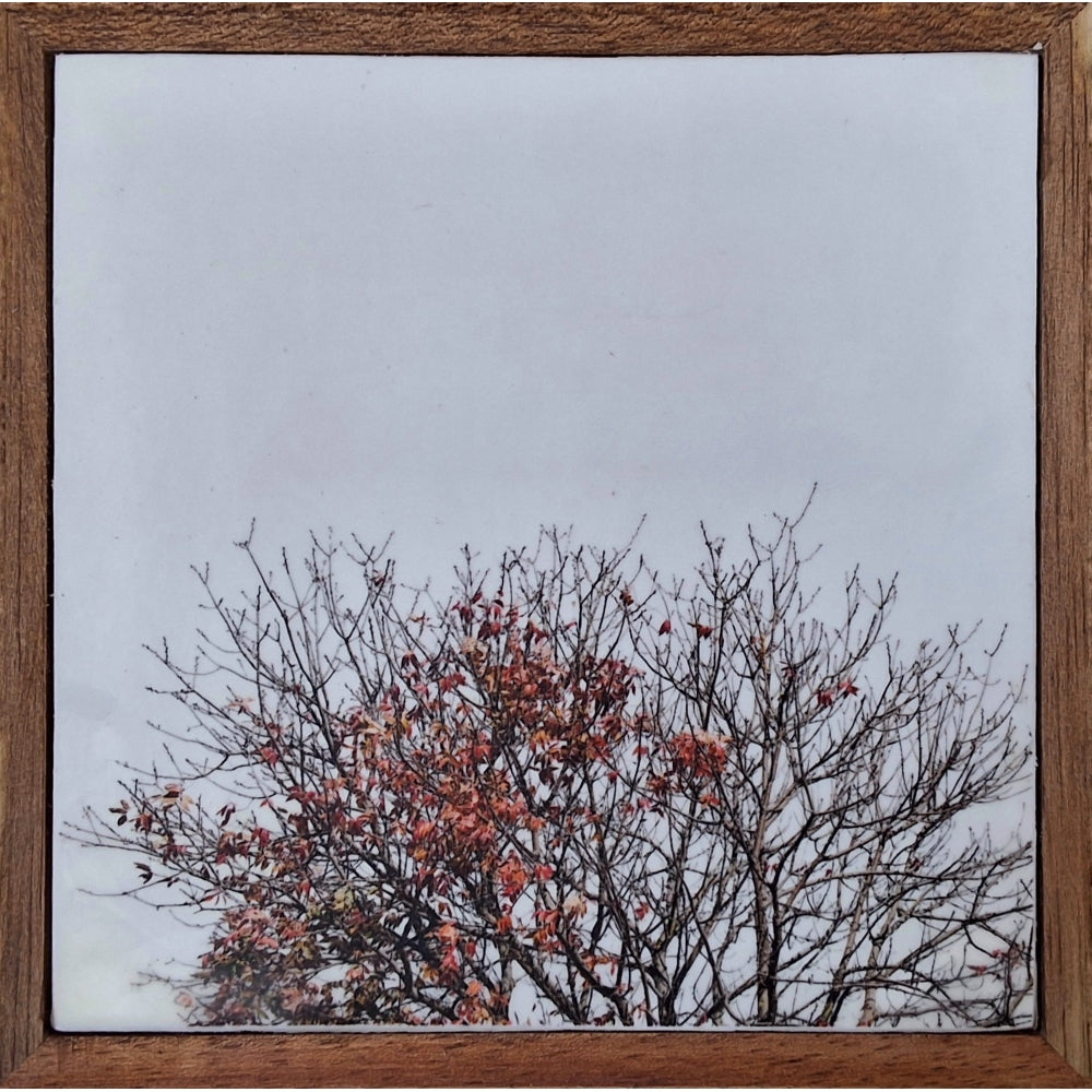 Autumn Comes 5