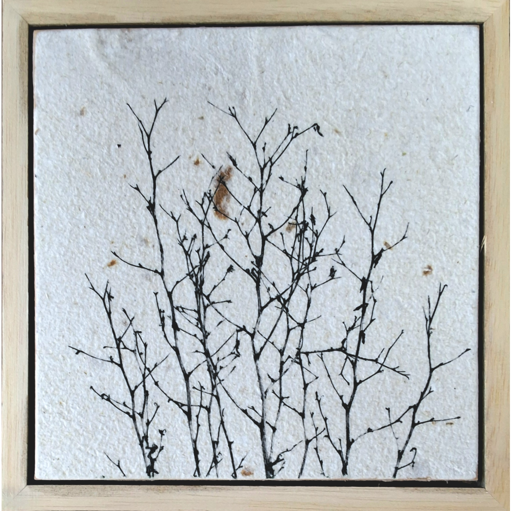 Seed Time and Harvest Shall Not Cease 57