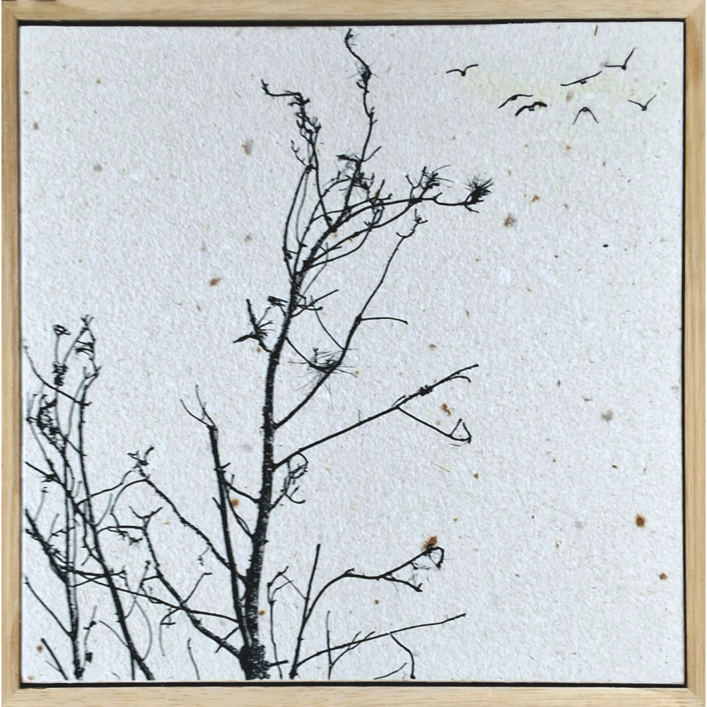 Birds Coming to Nest