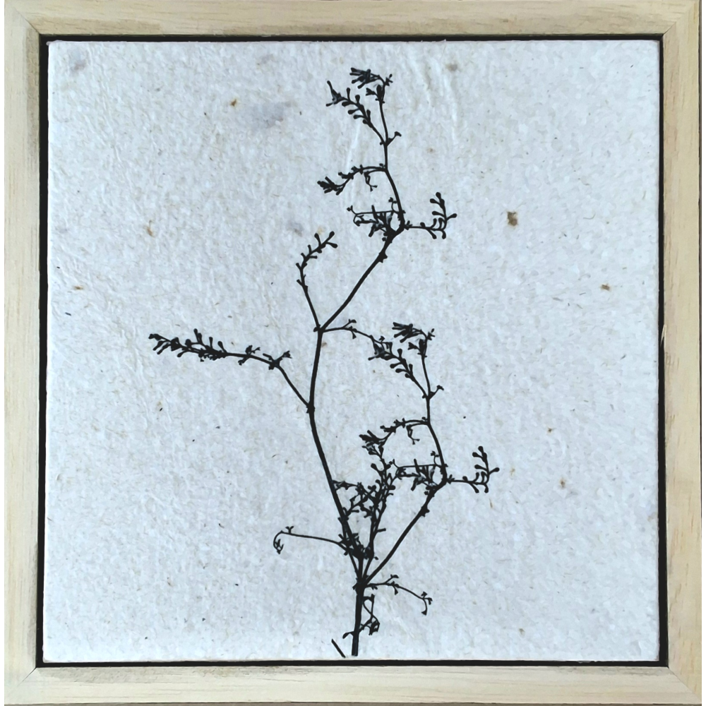 Seed Time and Harvest Shall Not Cease 42