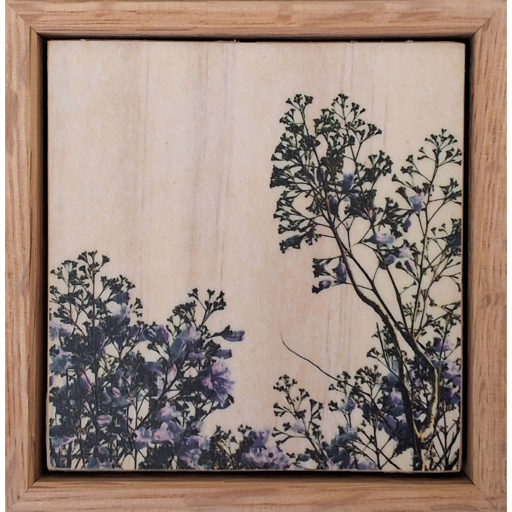 Seeing Through the Trees 9