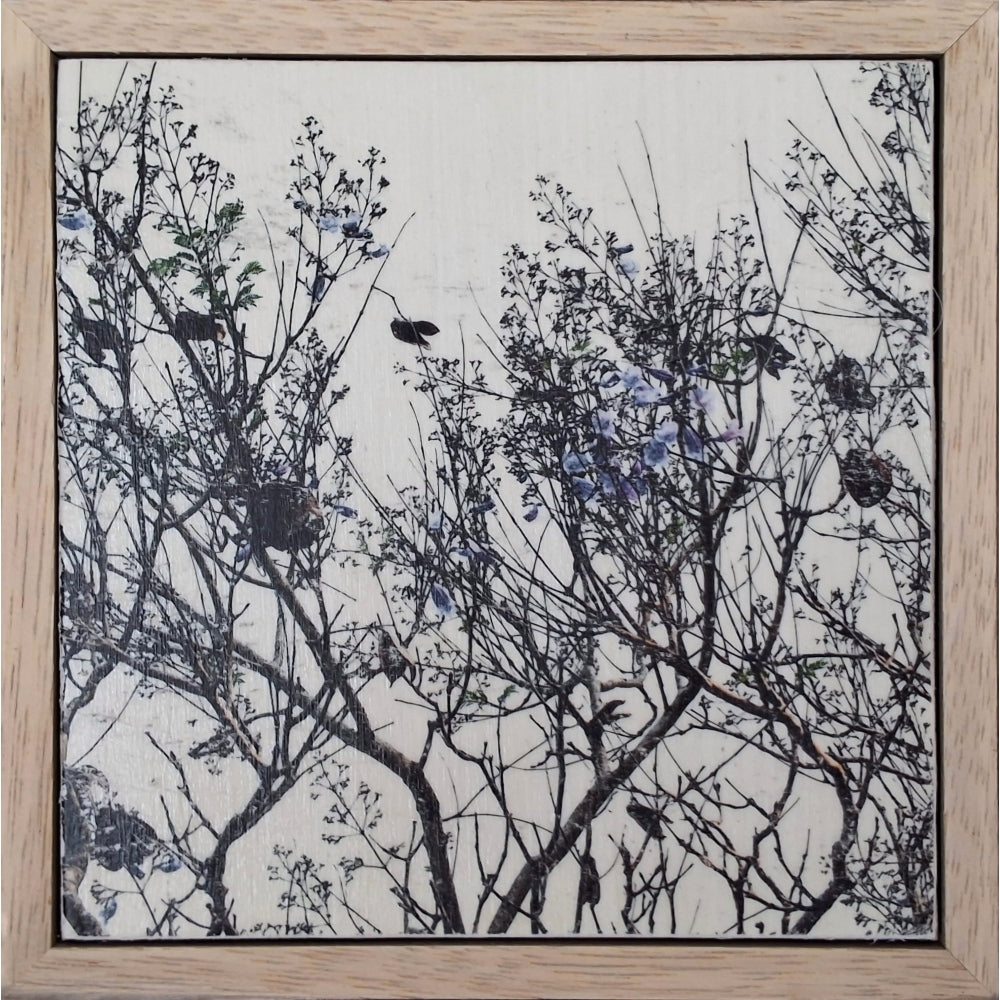 Seeing Through the Trees 14
