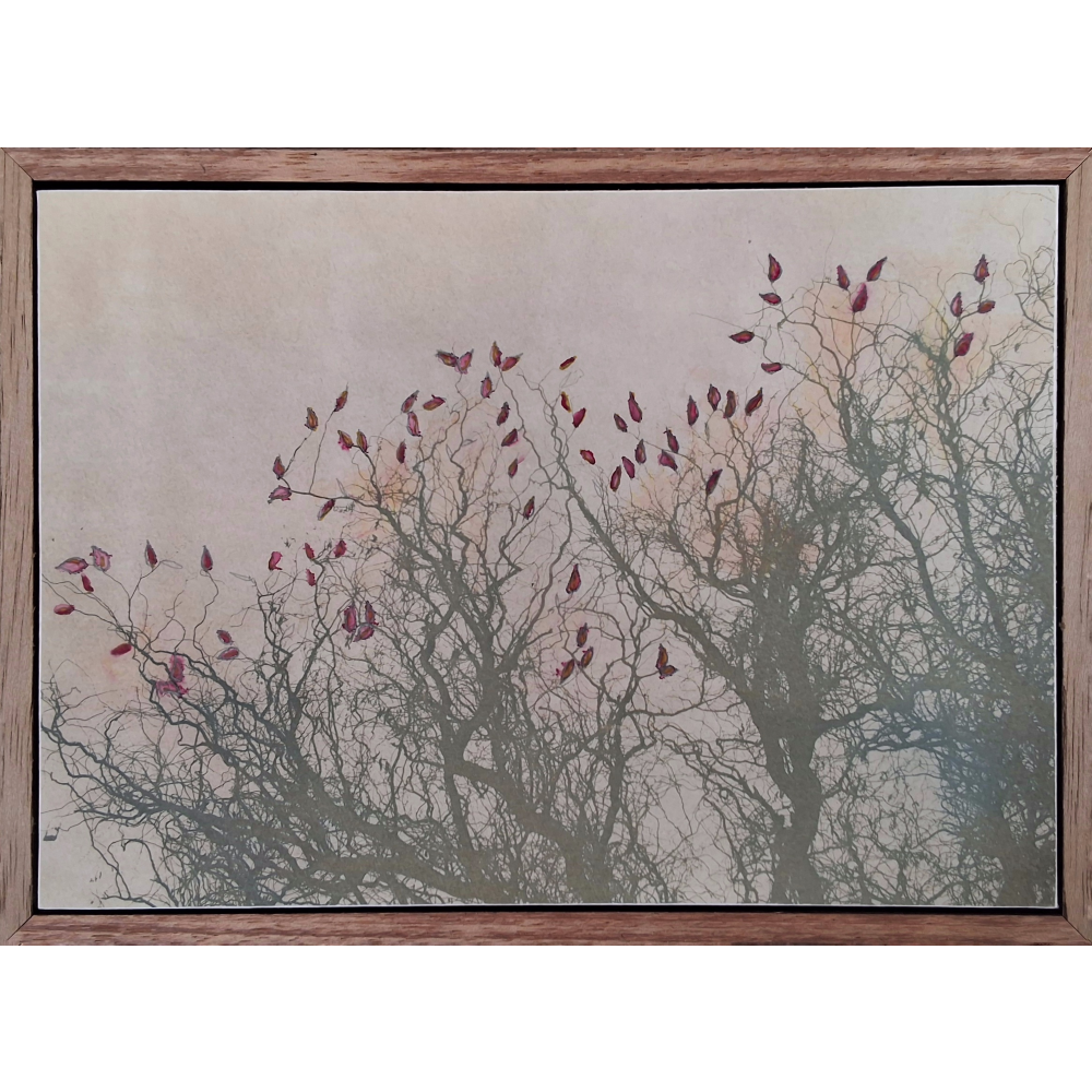 Bleeding Leaves