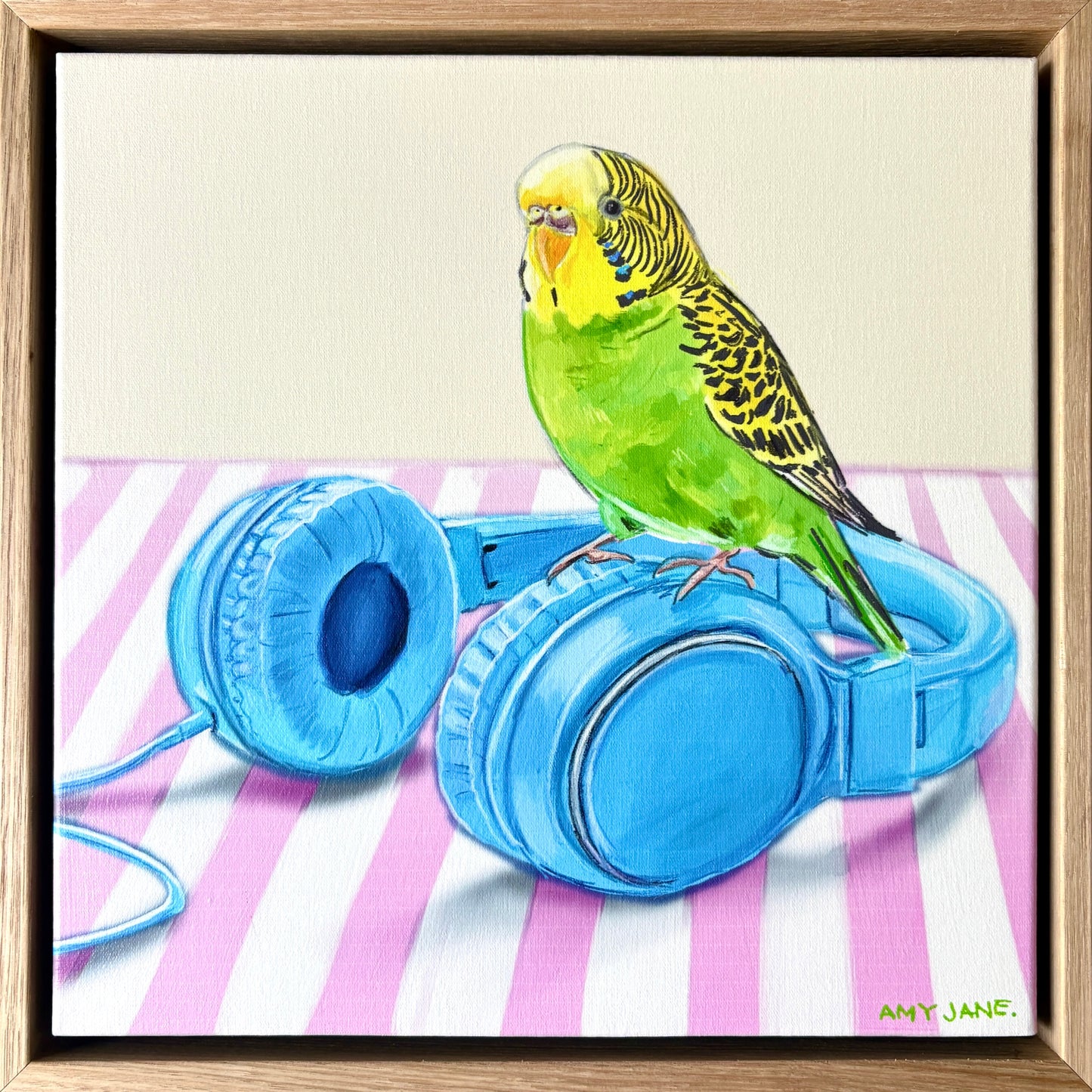 Budgie on Headphones