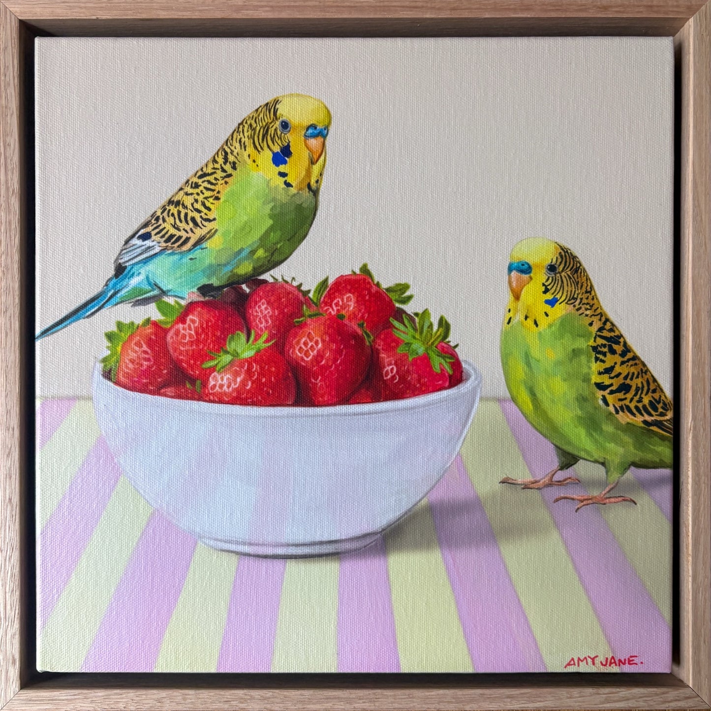 Strawberry Budgies