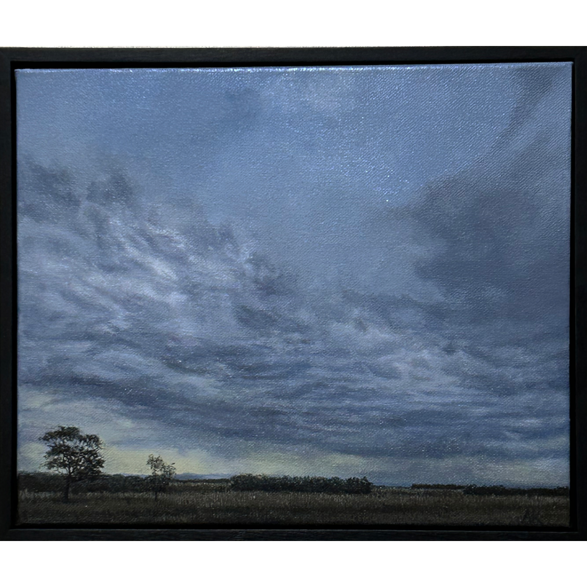 Evening Light in August