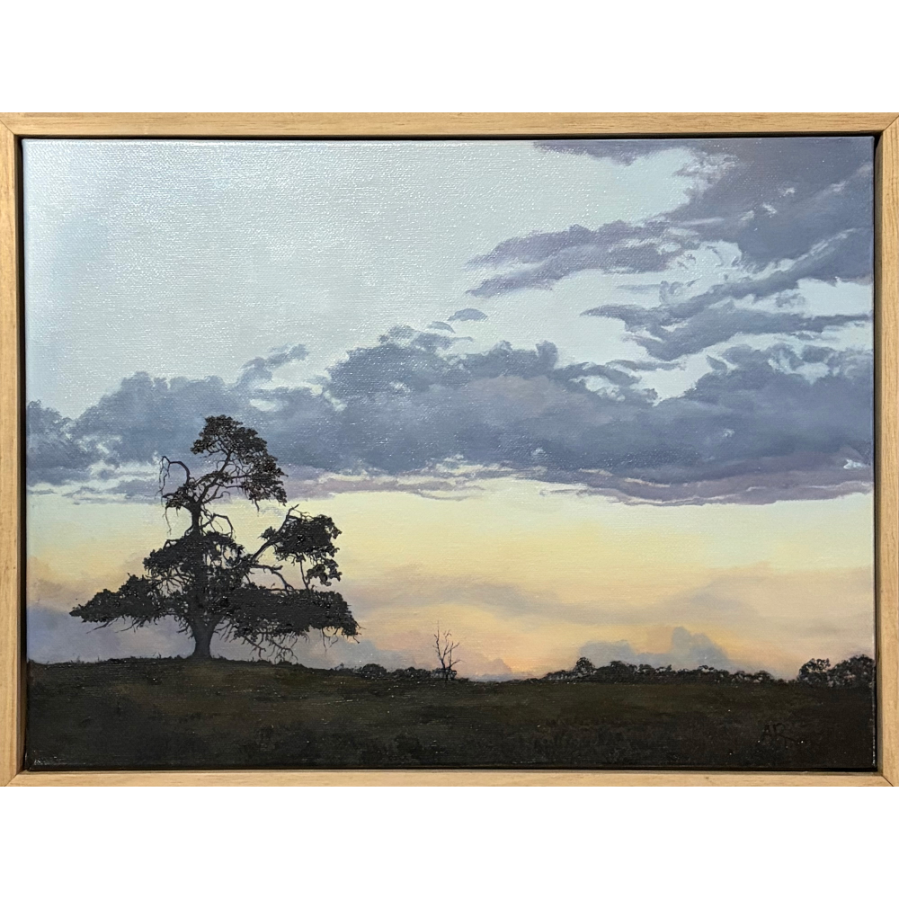 Sun Fall