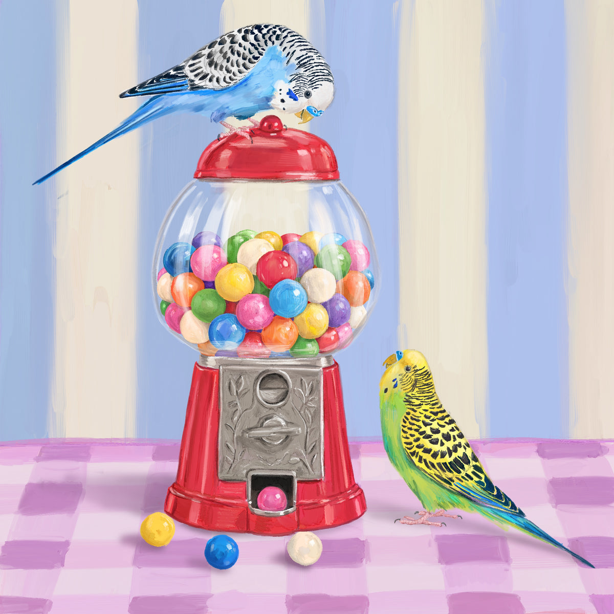 Gumball budgies