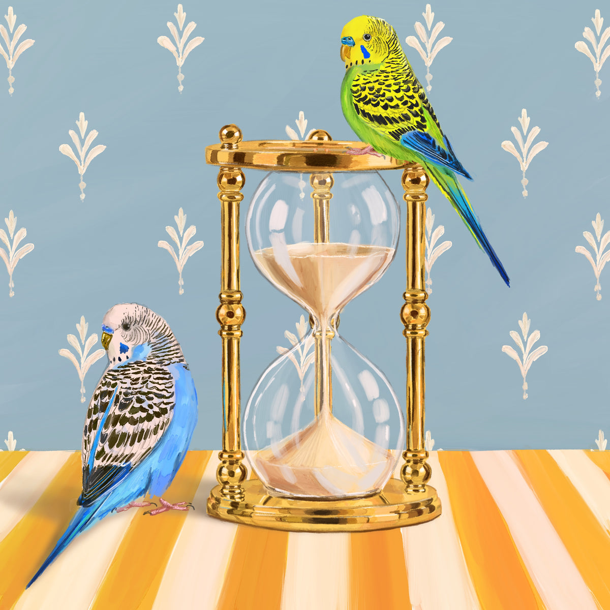 Hourglass budgies