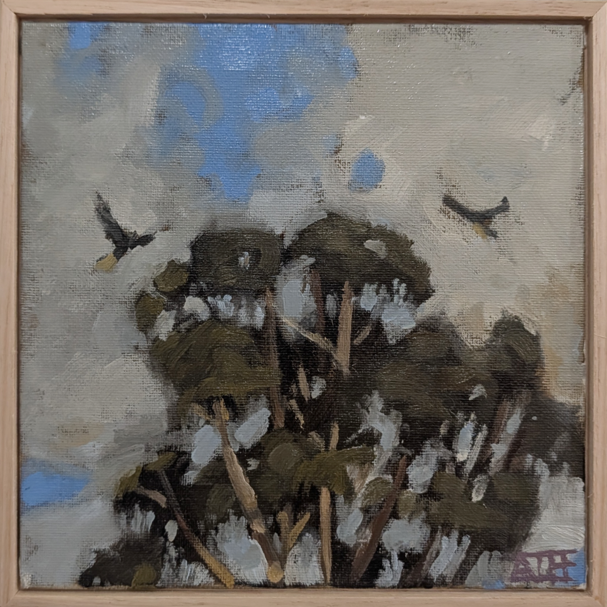 Ancient Calls (Bellarine Peninsula)