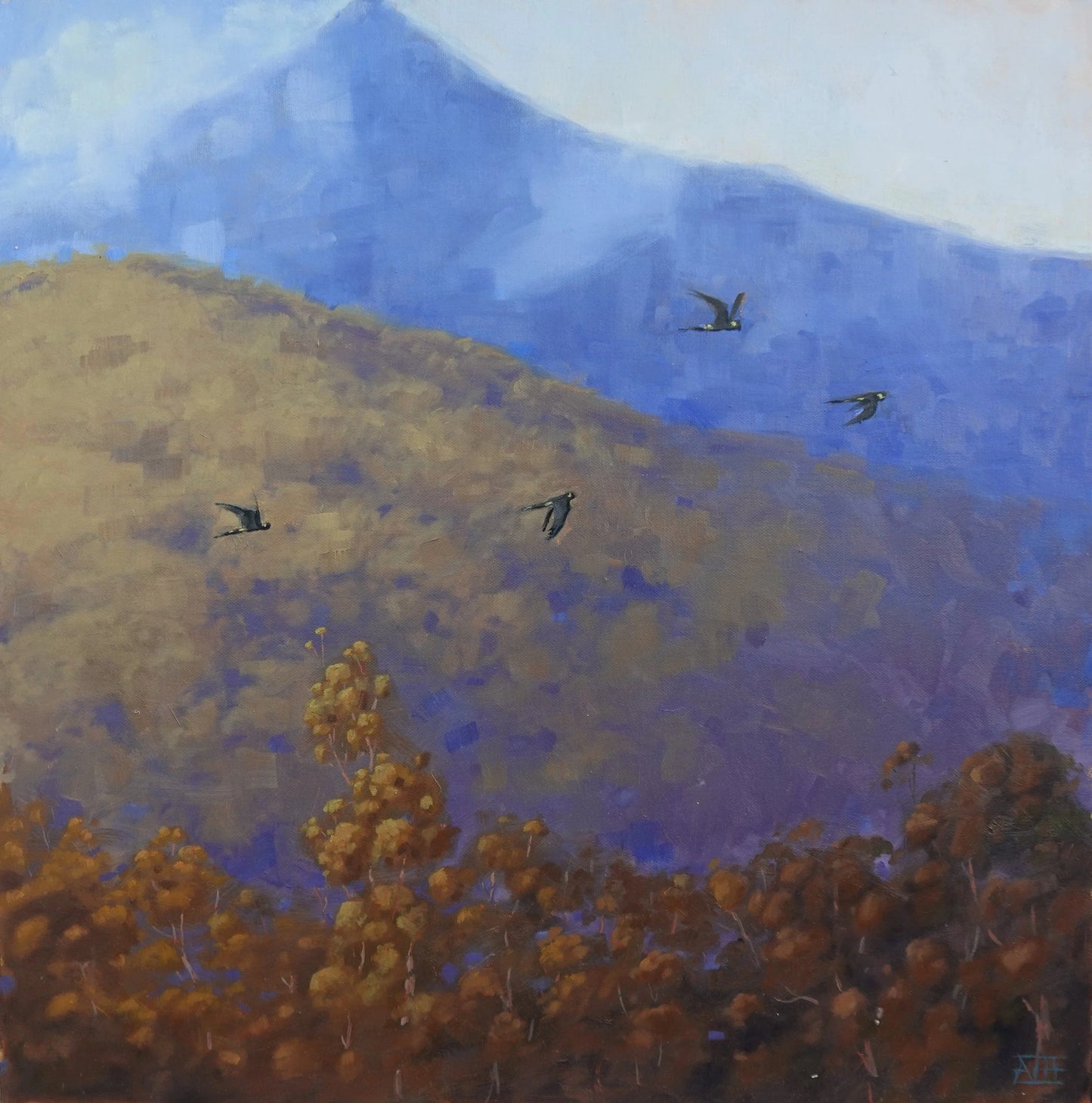 Gazing Skyward (Mount Bogong)