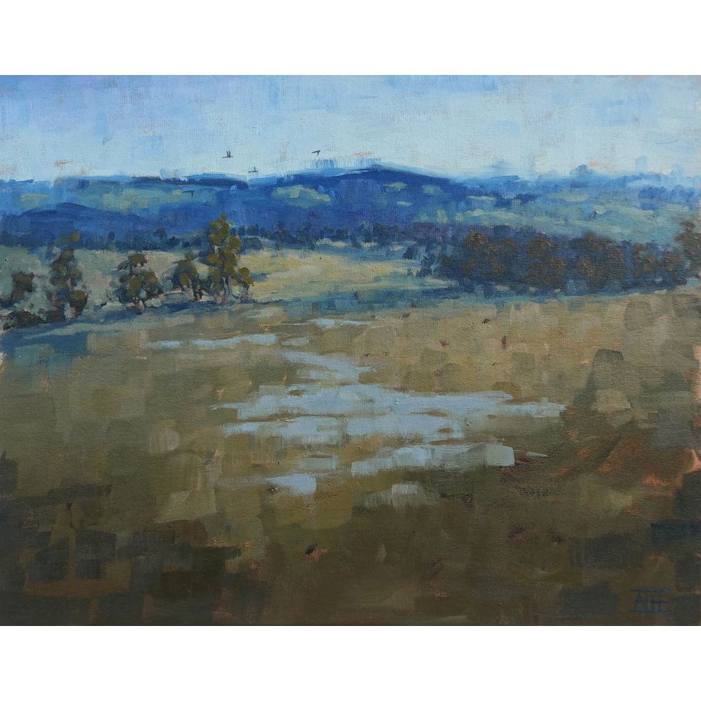 Morning Echoes (Yarra Valley)