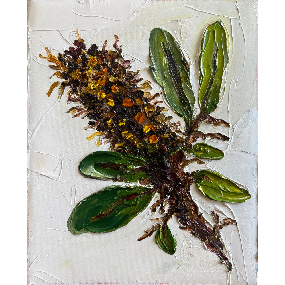Banksia #1