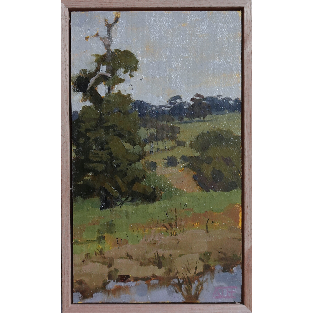 Brinsmead Valley Sketch