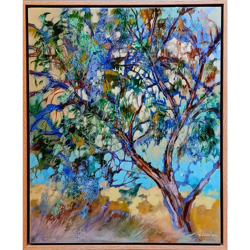 Tree by the Bay