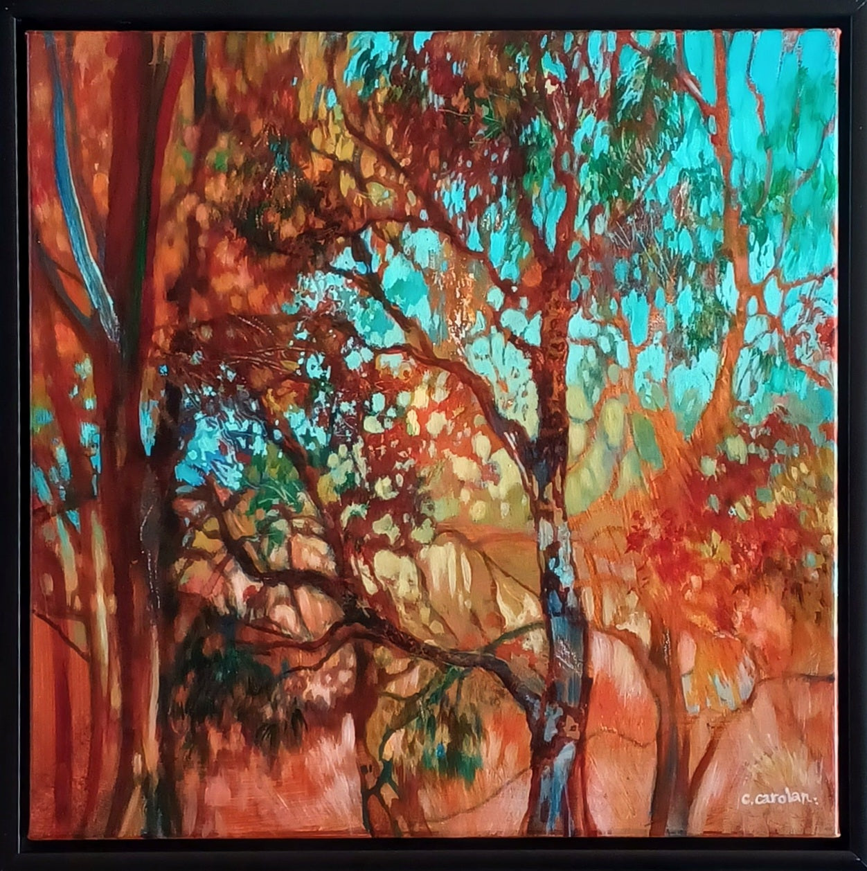 Dream in Tangerine