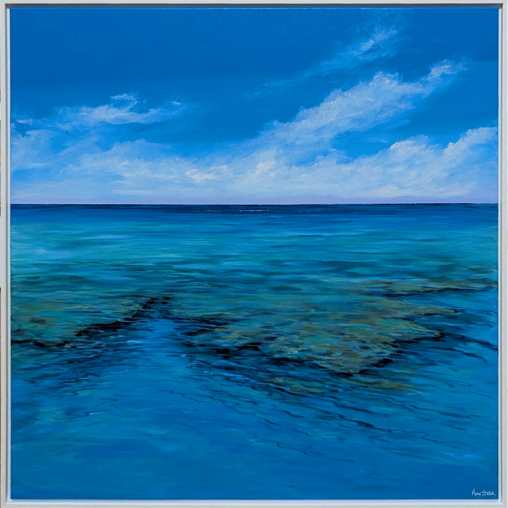 Drifting Reef