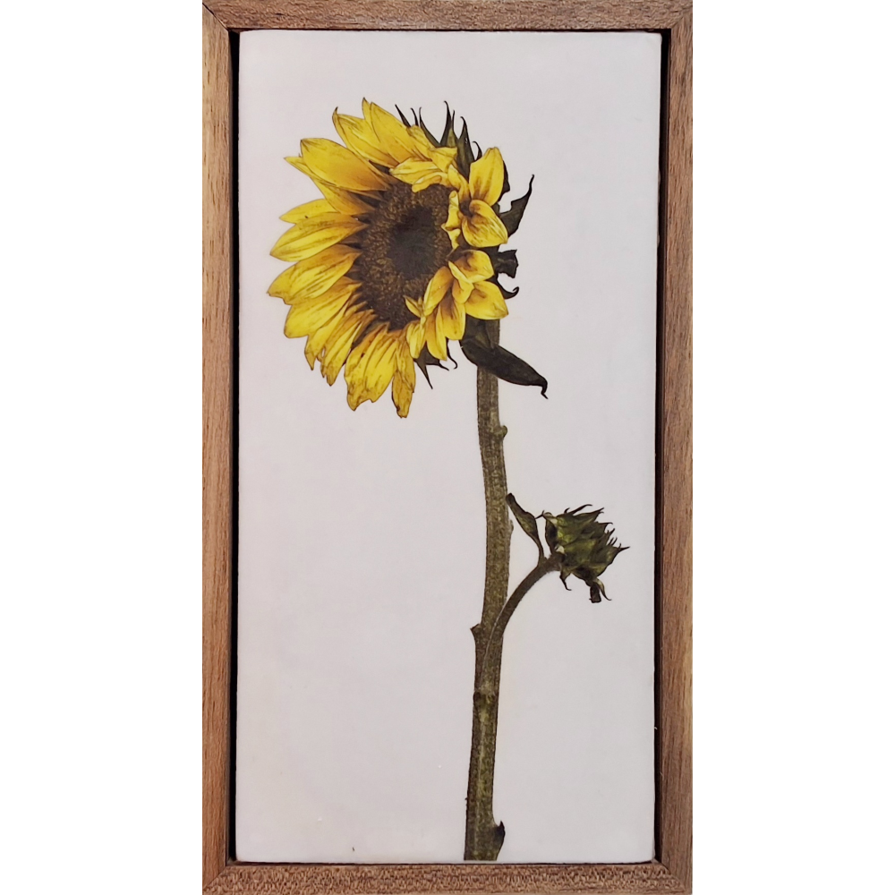 Gardens and Gifts Sunflower 2