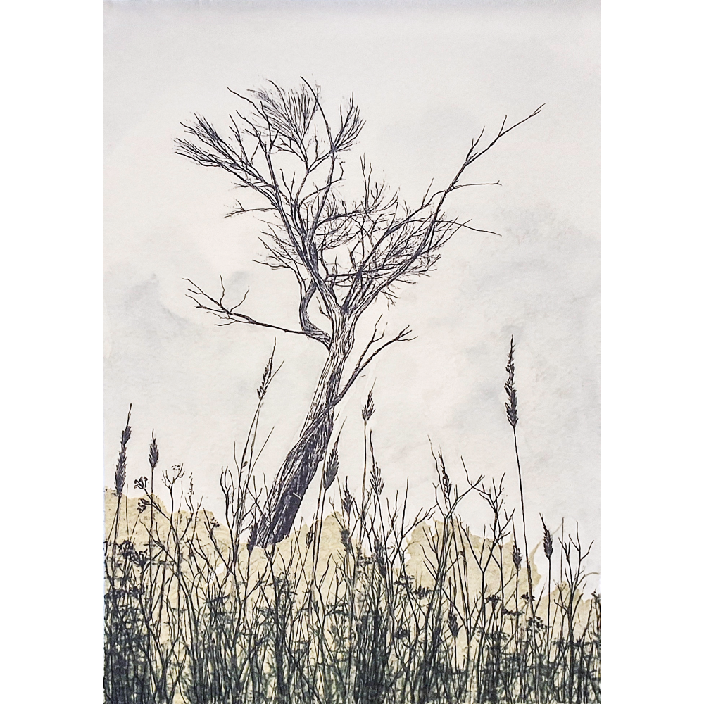 Getting Lost Amongst The Meadows