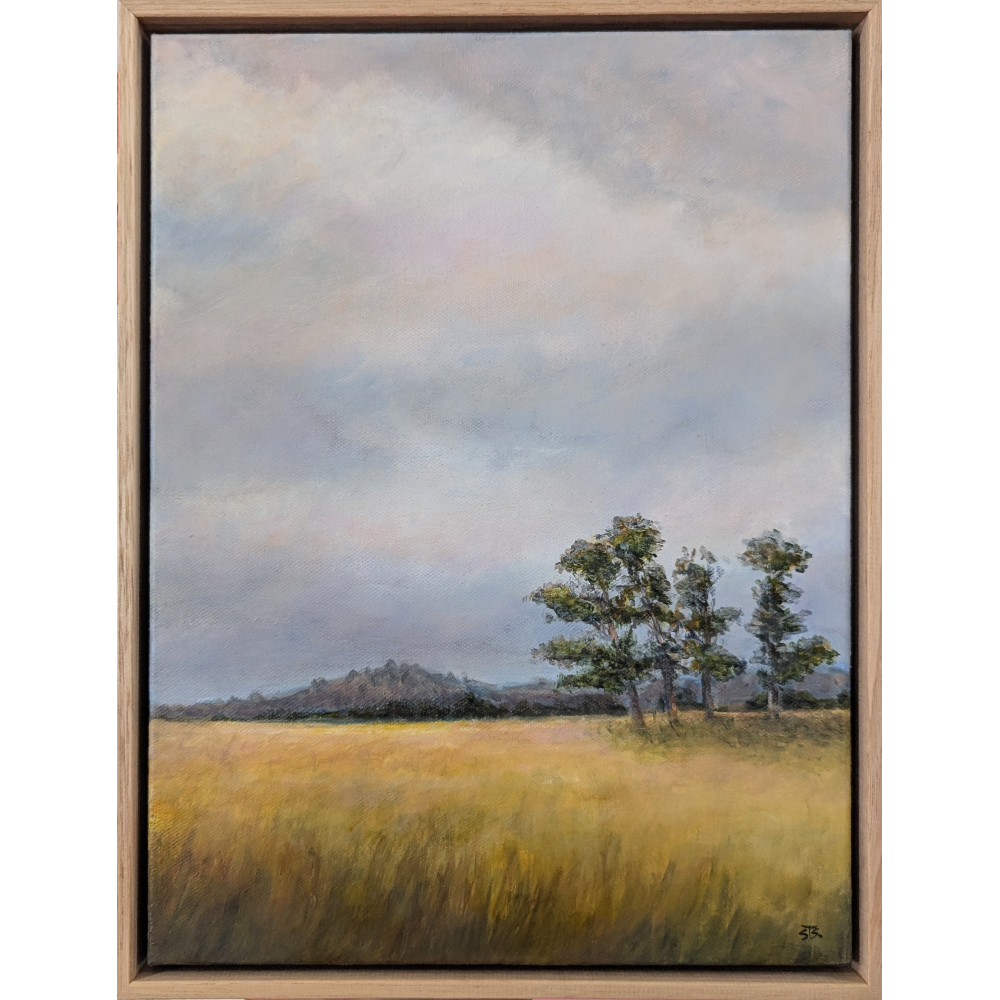 Golden Pastures, Coghills Creek