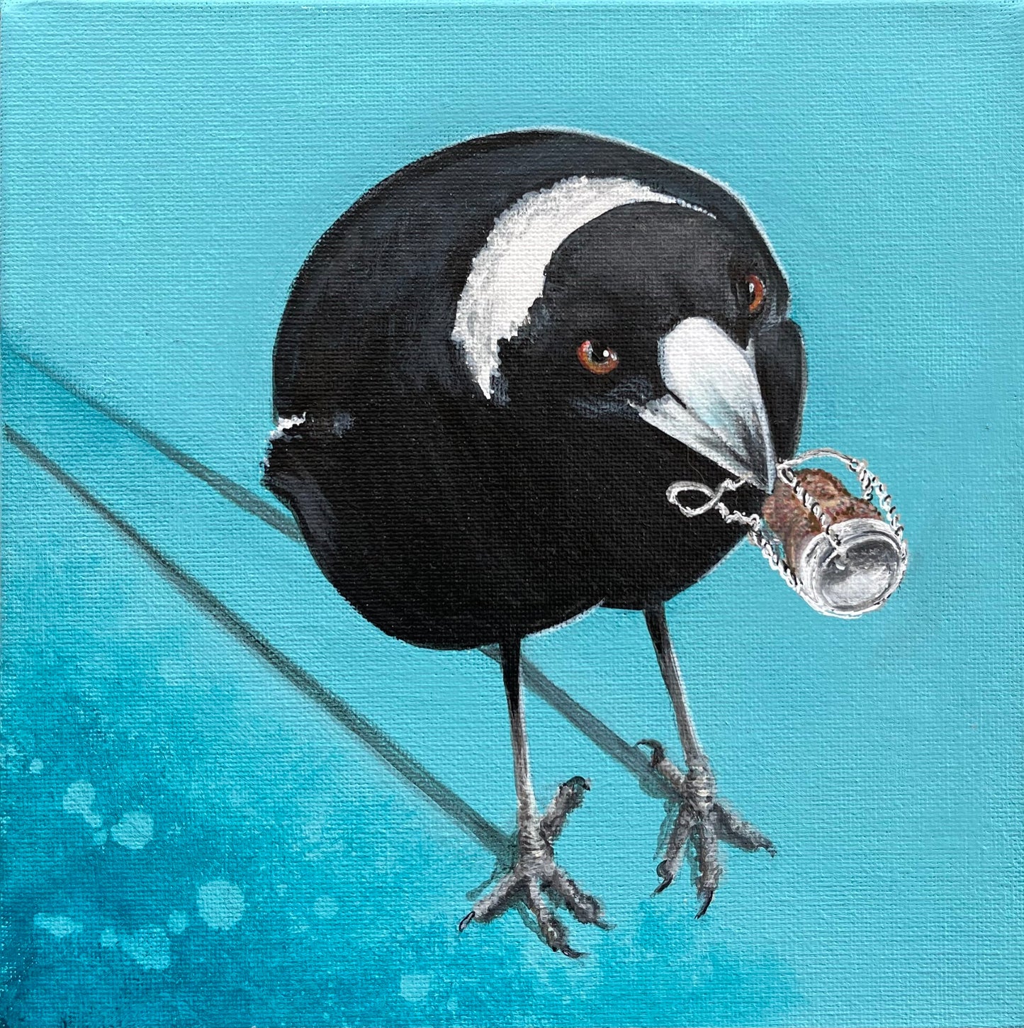 The Muselet Collector