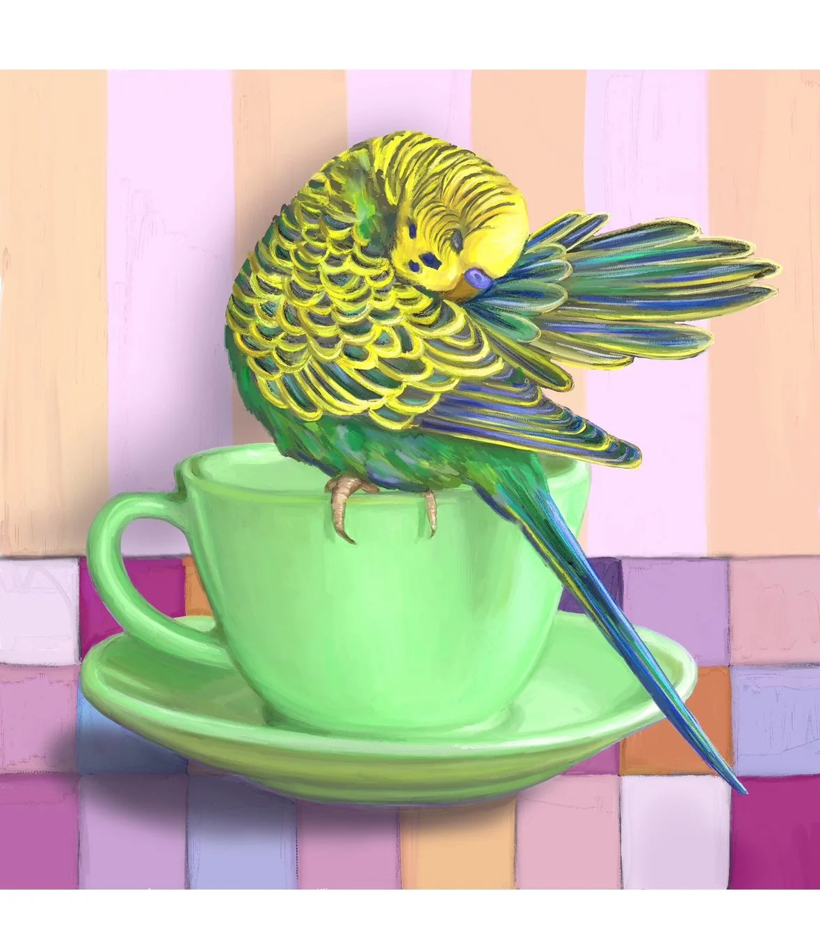 Budgie Washing Himself