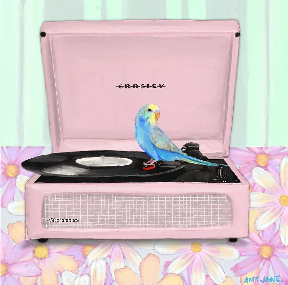 Budgie on Pink Record Player