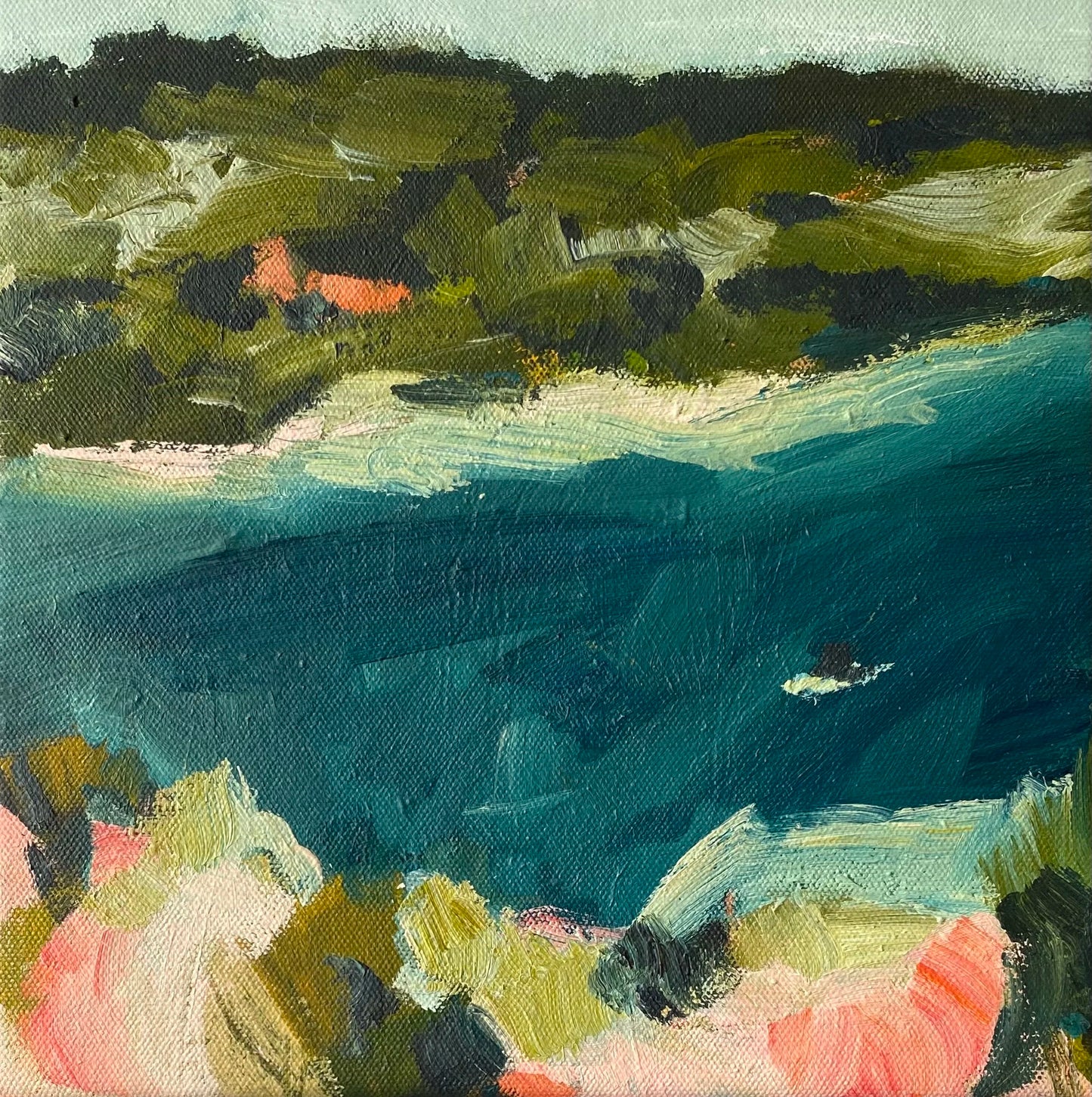 Illawarra Coast Study I