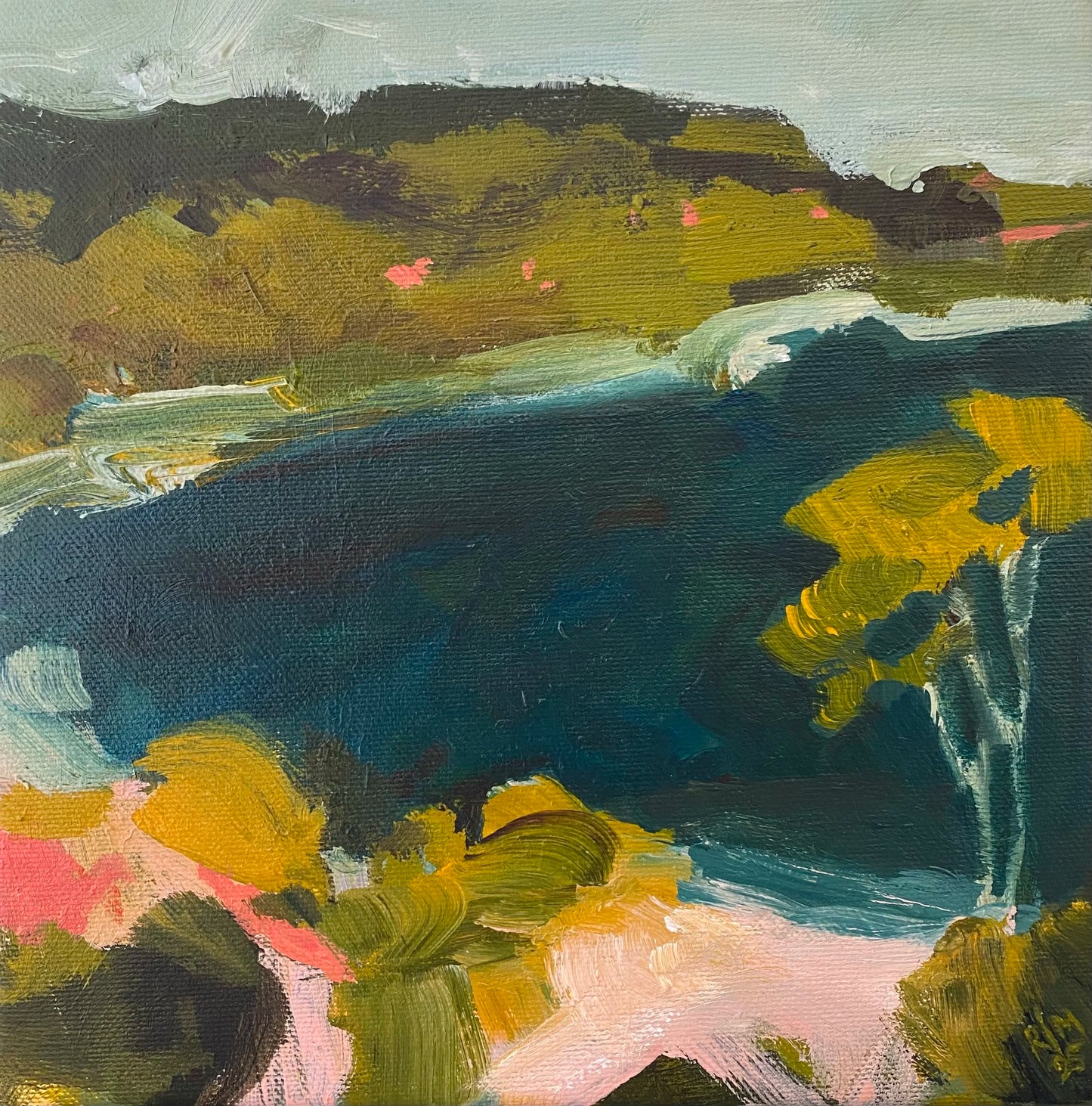 Illawarra Coast Study II