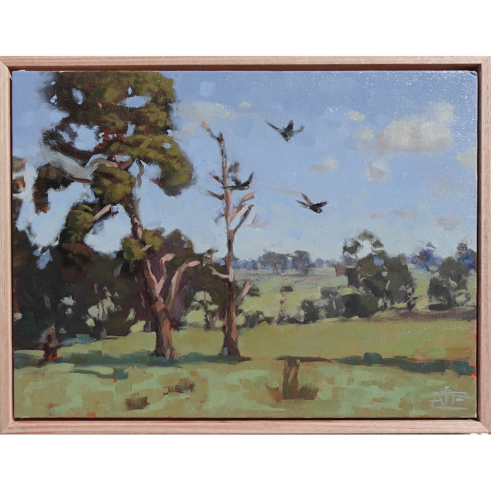 Life on Brinsmead Lane