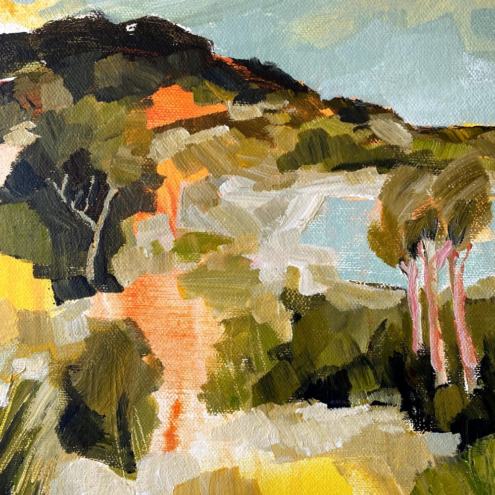 Looking North from Bells Point