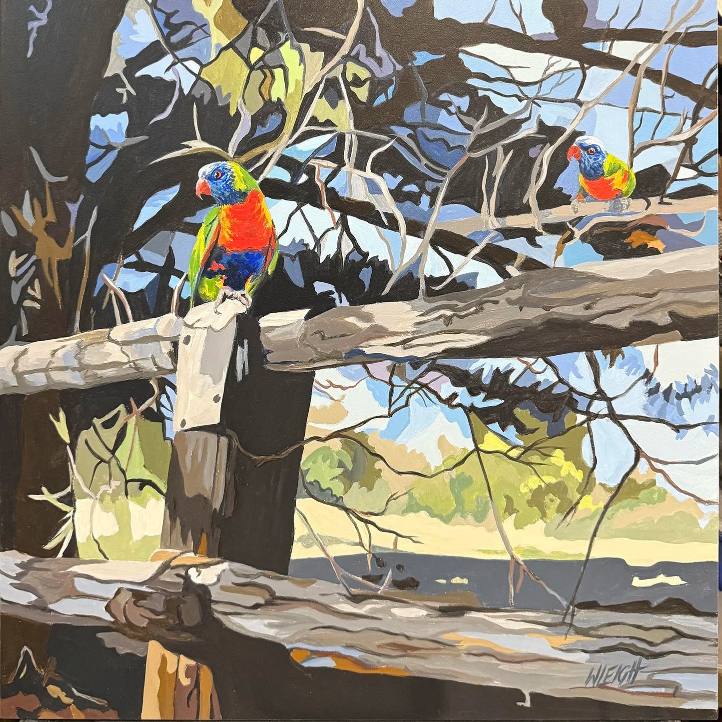 Lorikeets on the Lookout