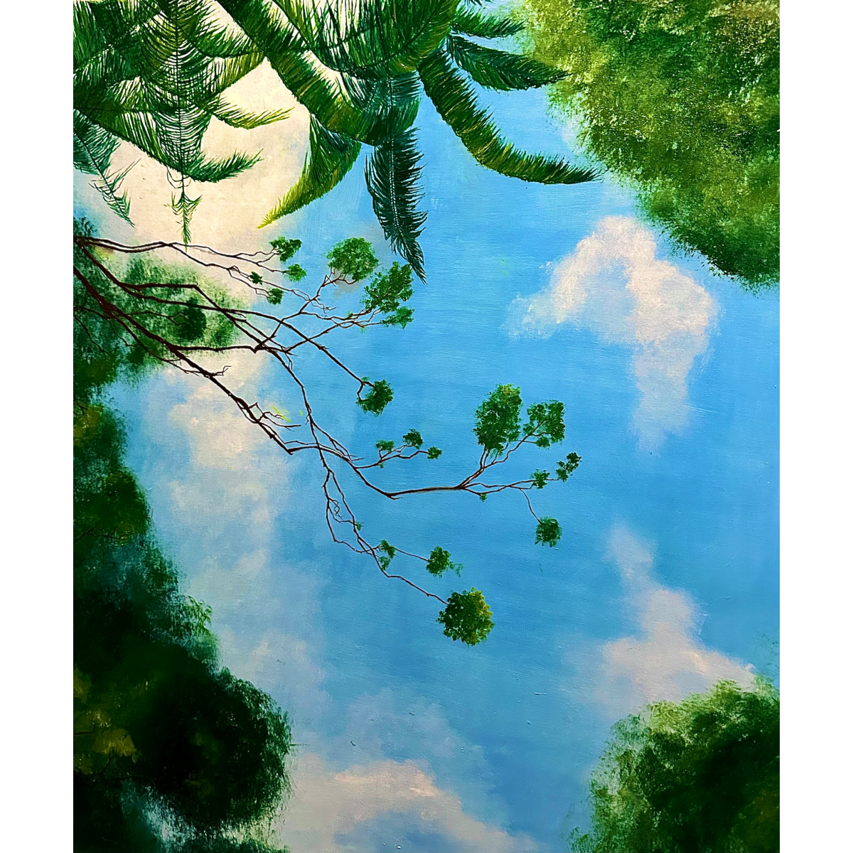 Staring at the Sky