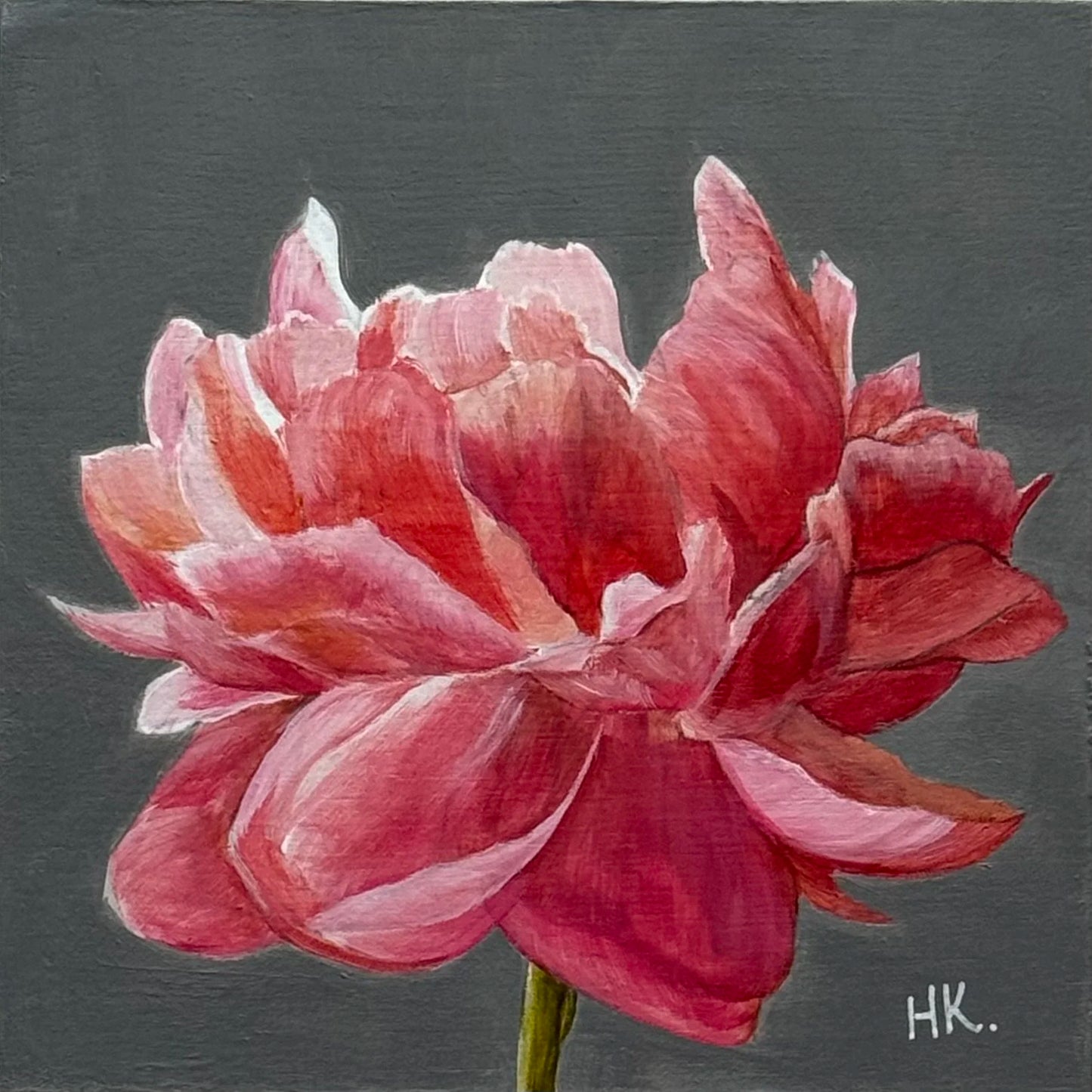 Nature's Treasure 45