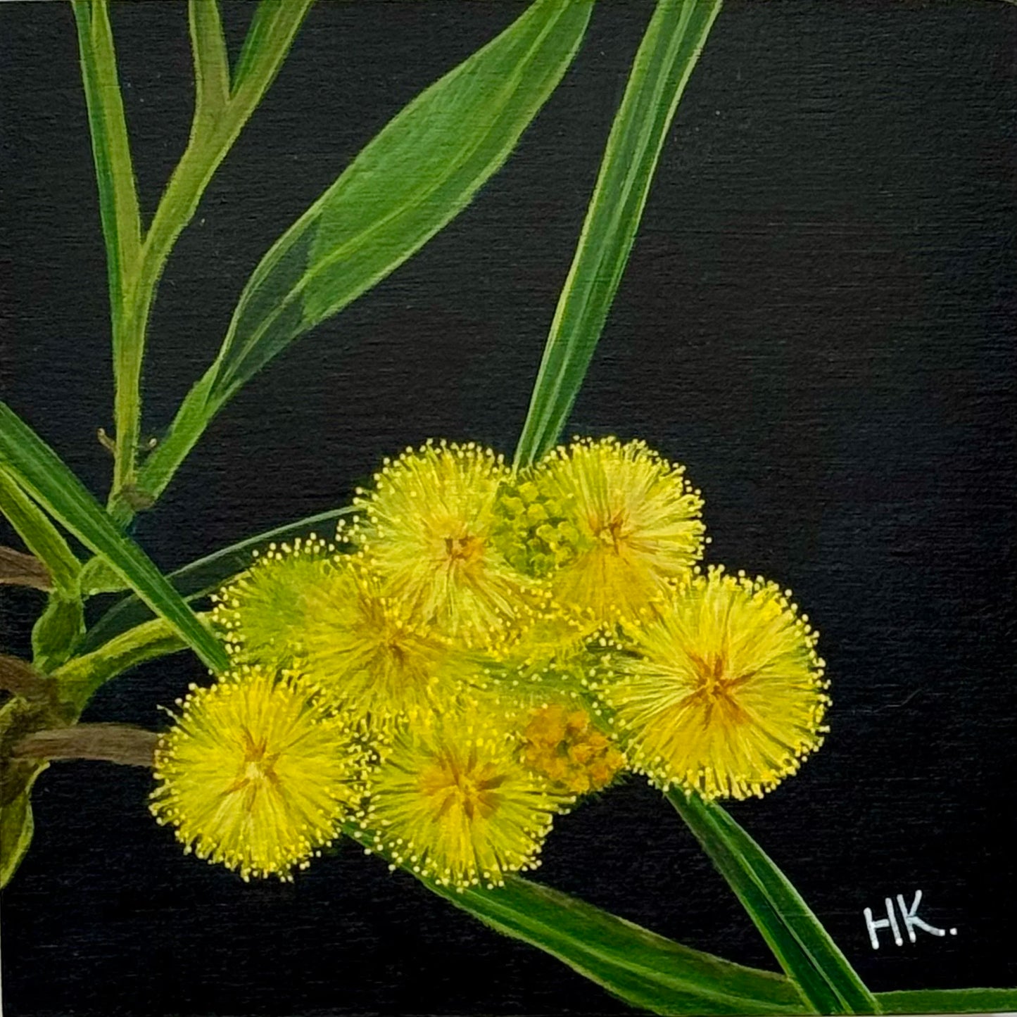 Nature's Treasure 55