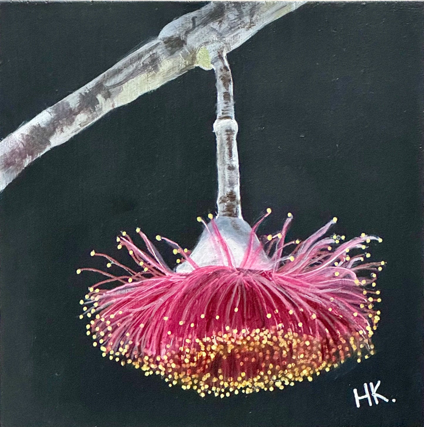 Nature's Treasures 119