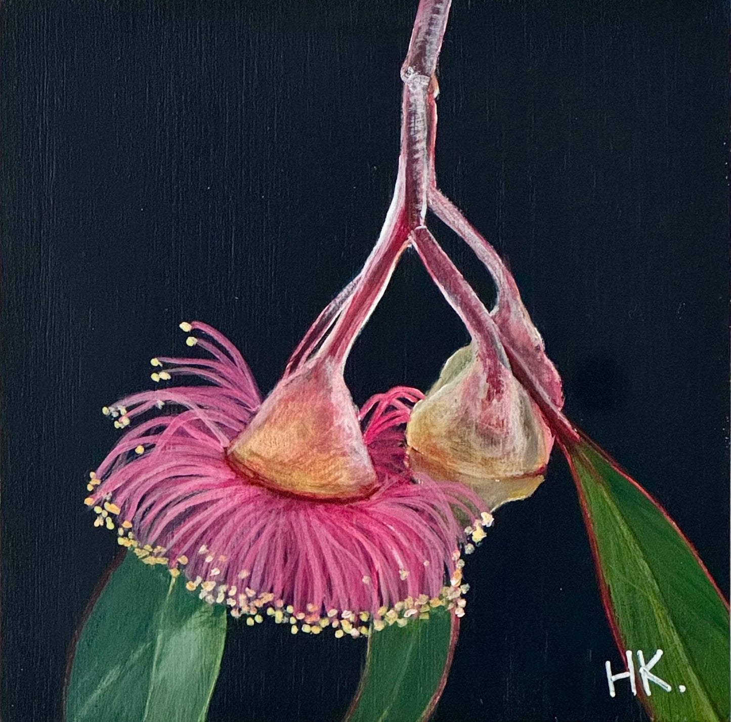 Nature's Treasures 120