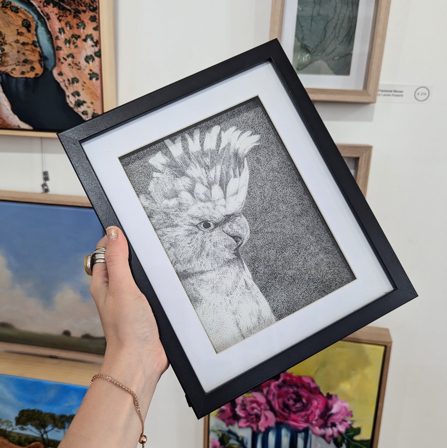 Echoes Of A Pink Cockatoo