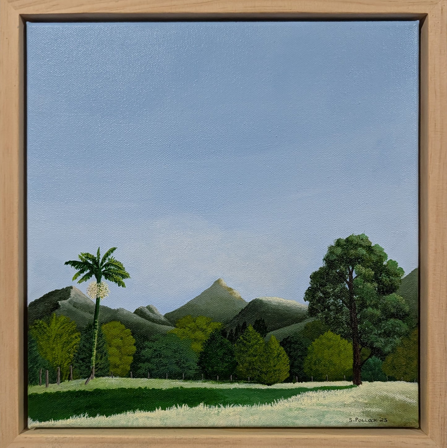 Wollumbin Valley View