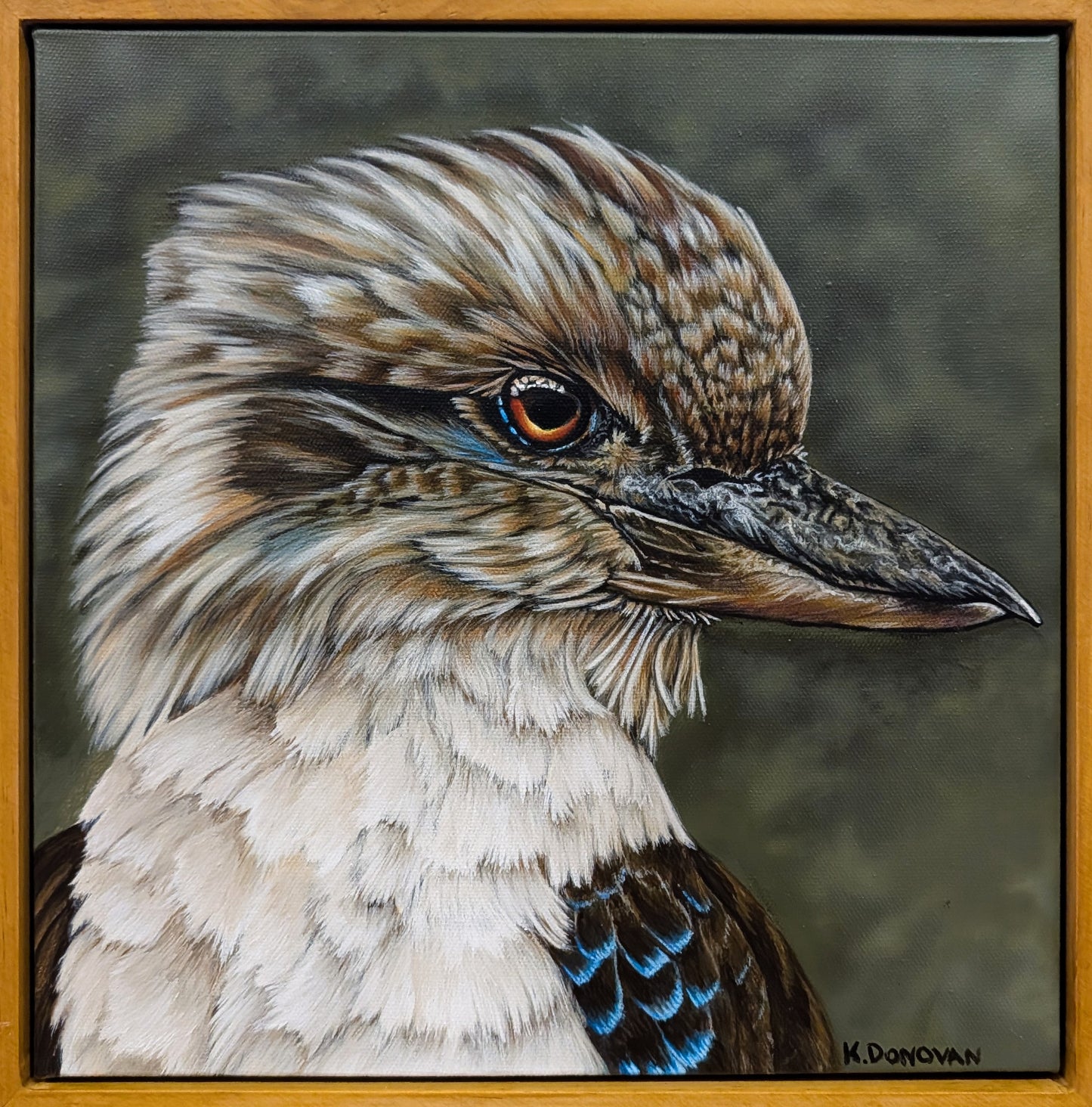 Bushland Awakening