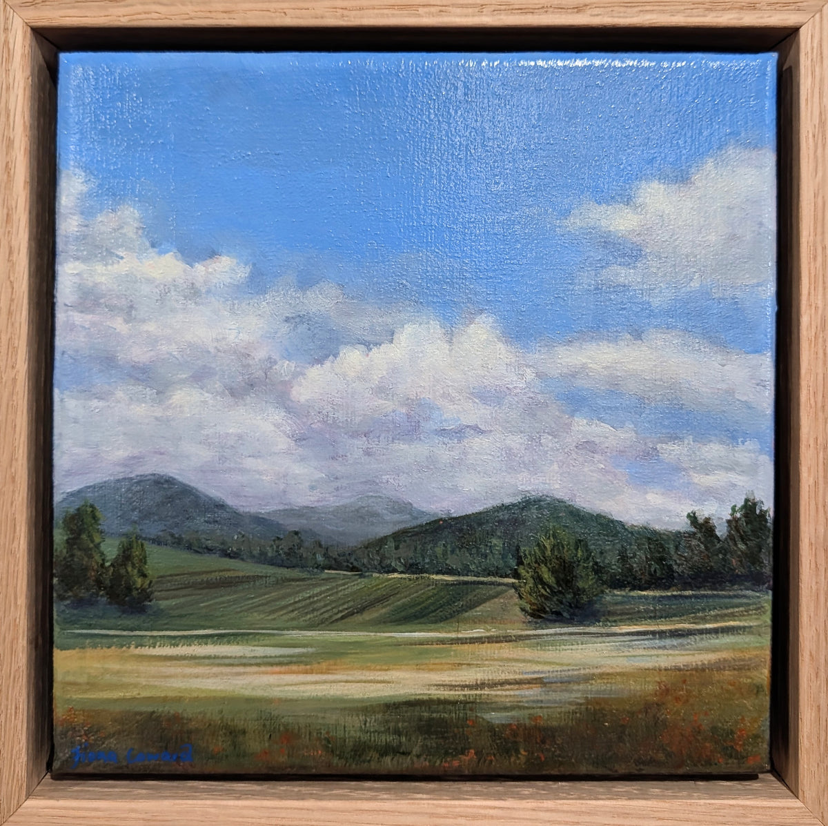 Across the Fields