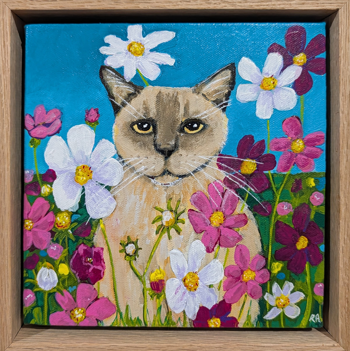 Cosmos Cat