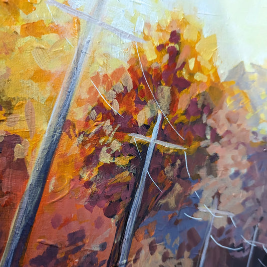 Late Afternoon In July