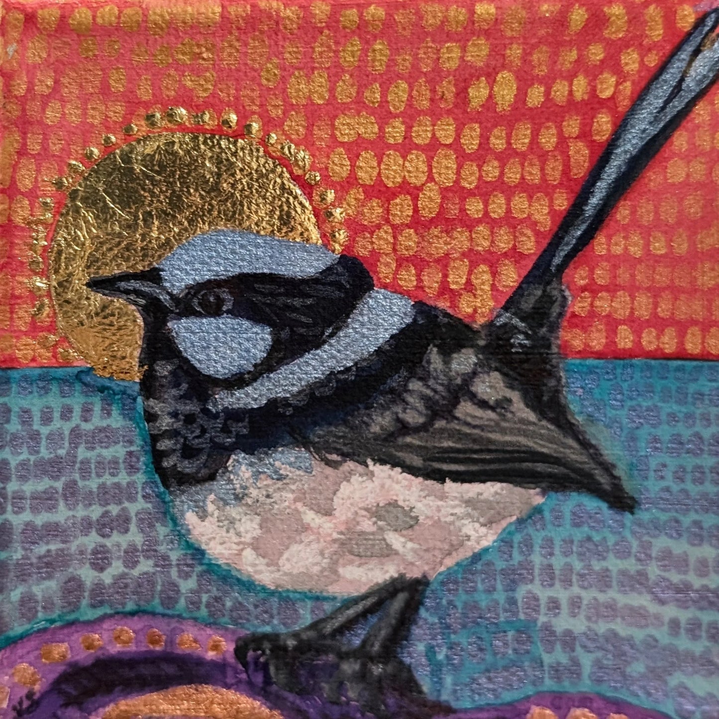 Mr Wren with a golden halo at dusk