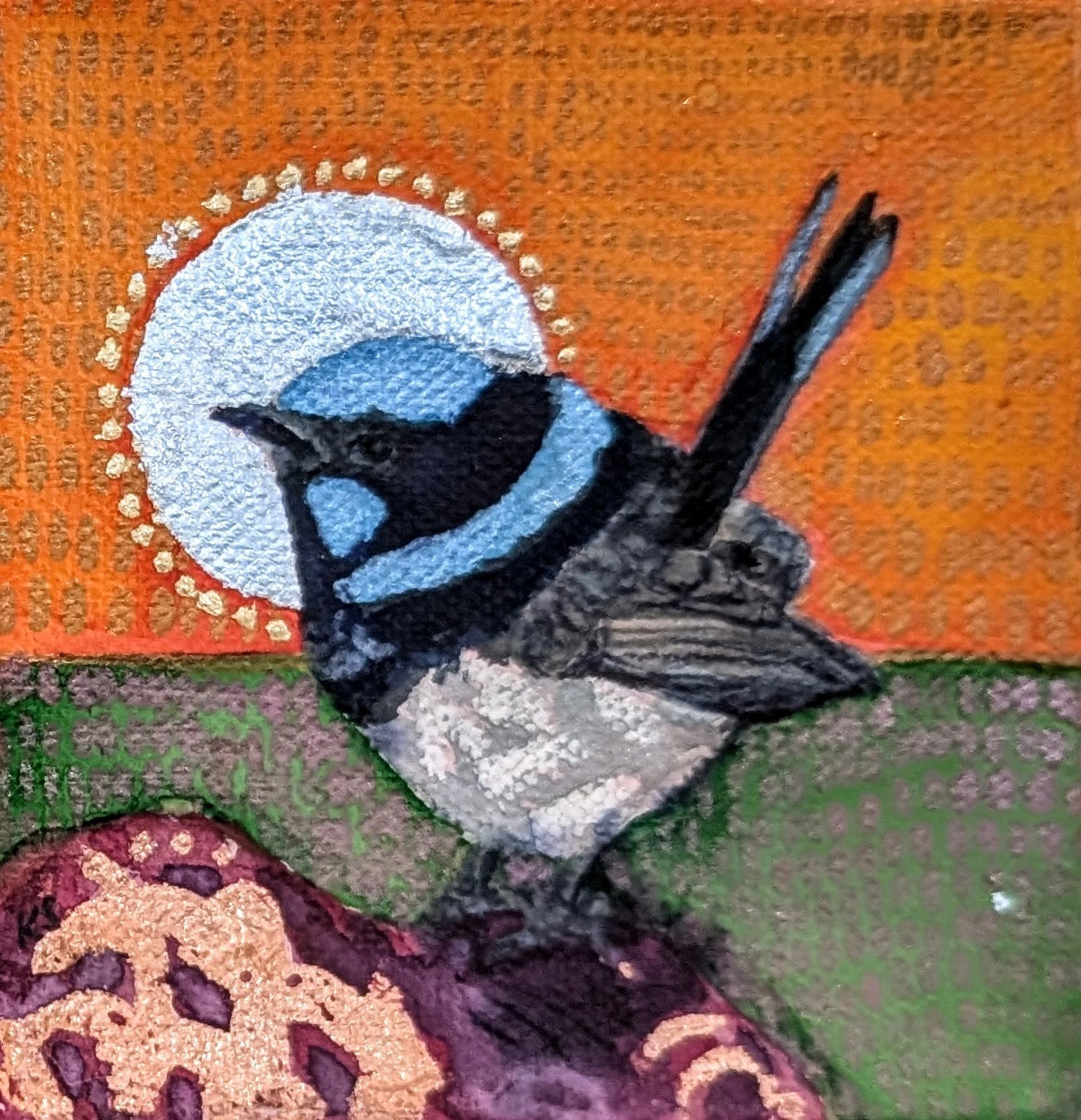 Mr Wren with a silver halo at dawn